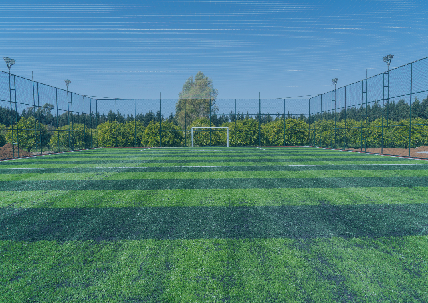 nawierzchnia sportowa